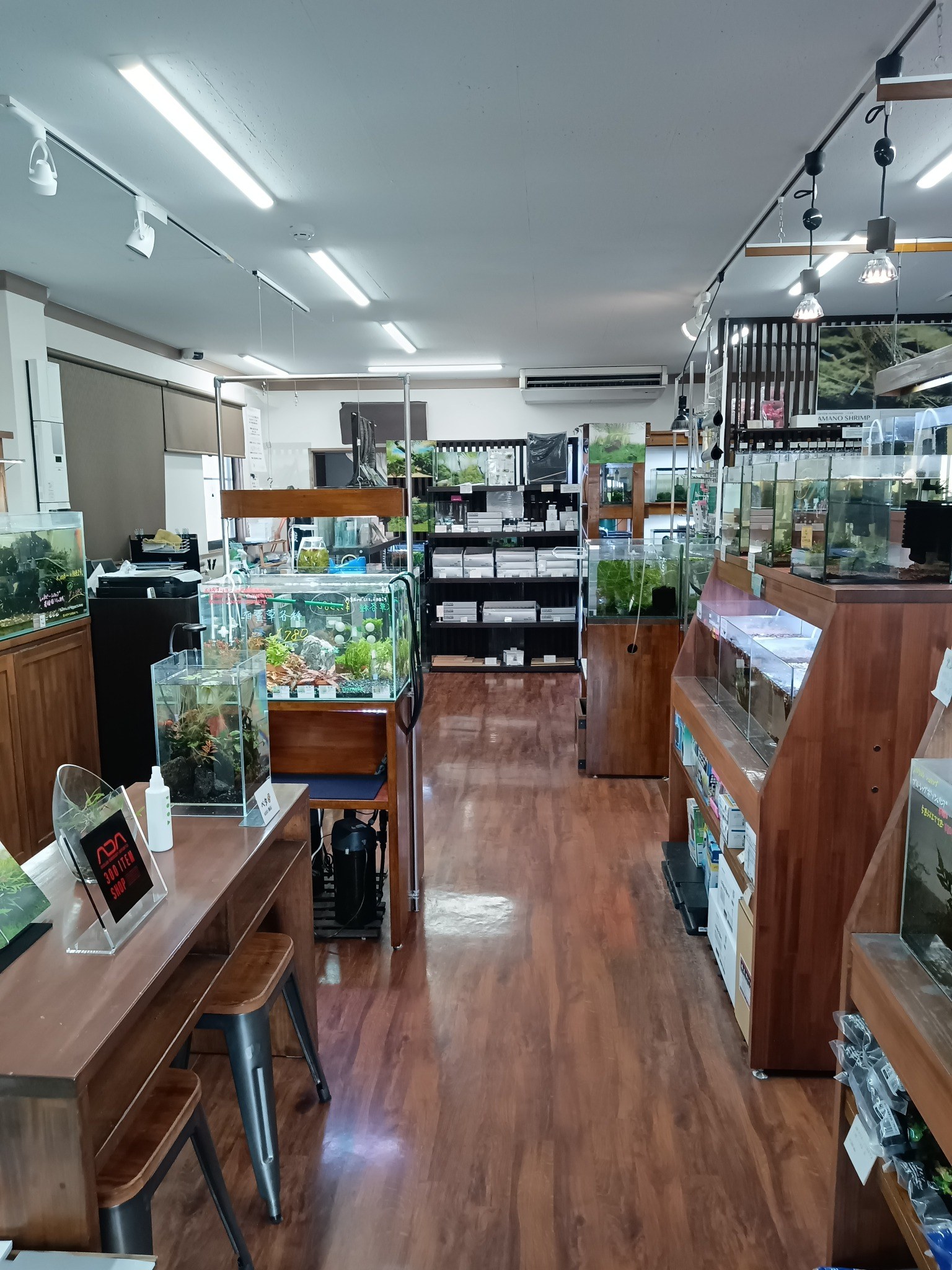 淡水シュリンプの水槽や飼育用品が並ぶAtWell店内