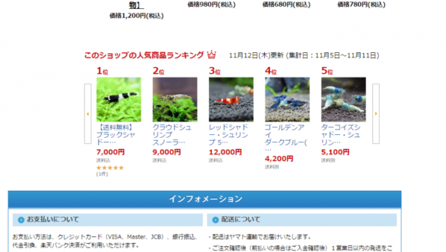 シュリンプ好評販売中！