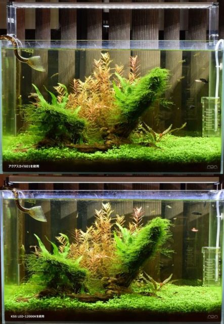 【新商品のご案内】KSS LED-12000K 600