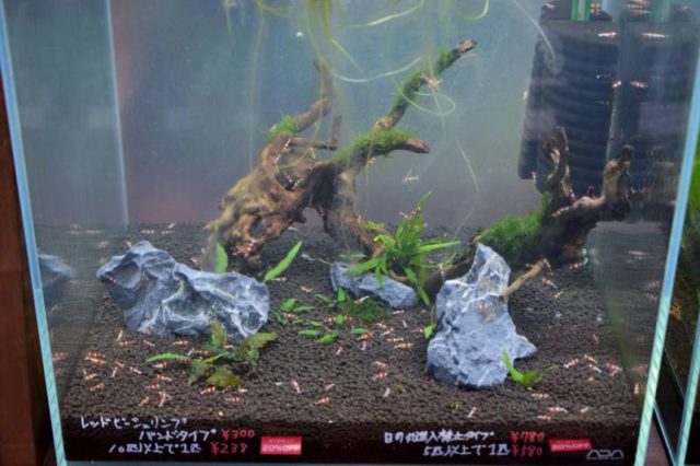 年内の営業は後２日です。