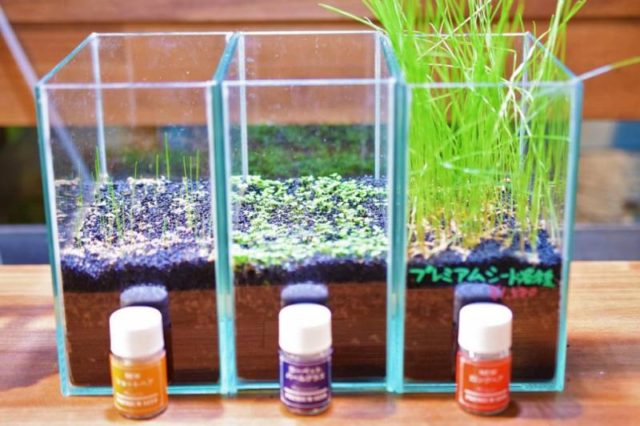 2月8日(水)は店内調整の為お休みです。