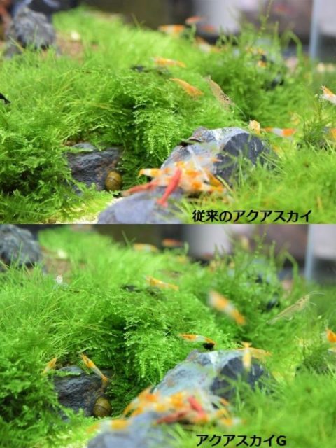 アクアスカイG予約販売開始