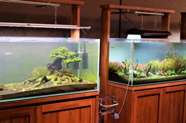 シュリンプ纏め買いセール