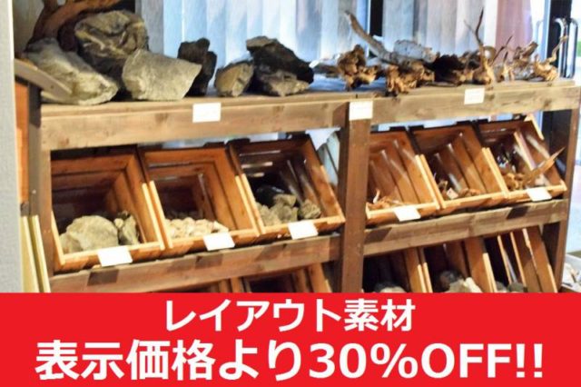 レイアウト素材セールは11月30日までです。