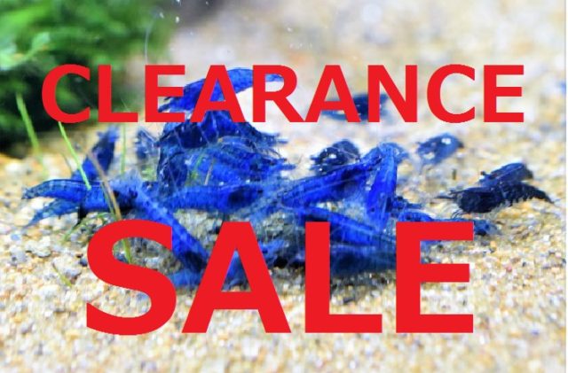 クリアランスSALEと棚卸業務の為、臨時休業のお知らせ