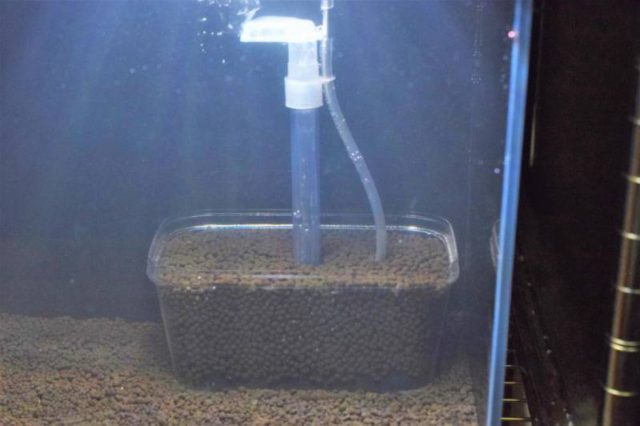 最新入荷、在庫、月末SALE情報