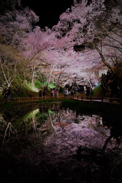 最新入荷、在庫情報