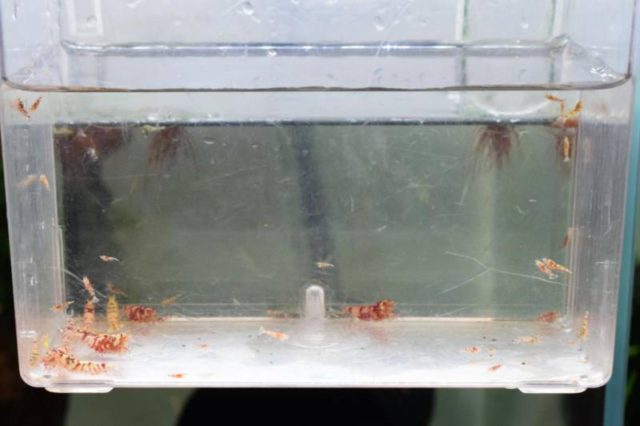 最新入荷、在庫、店舗SALE情報