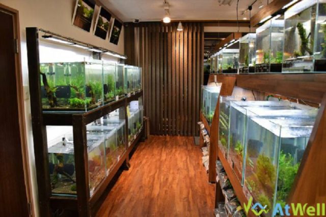 最新入荷、在庫、月末SALE情報