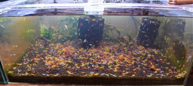 最新入荷、在庫情報