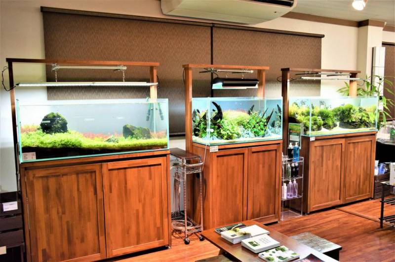 店内レイアウト水槽